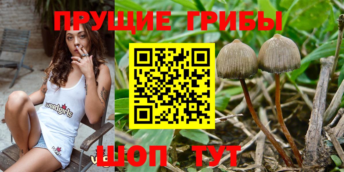 Псилоцибиновые грибы MAGIC MUSHROOMS Сухой Лог