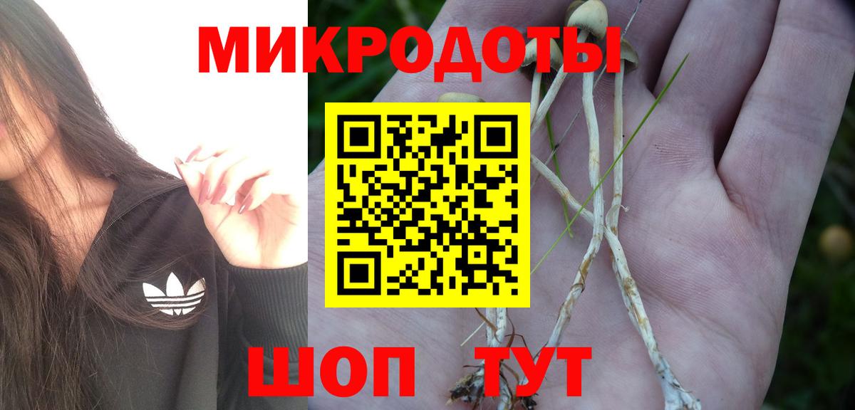 что такое наркотик  Галлюциногенные грибы мухоморы  Вход с VPN  Сухой Лог 